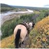 Image 2 : 3 Day Horseback Trip for 2 People w/ Dunne Za Backcountry Adventures