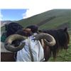 Image 1 : 5 Day - Dagestan Tur Hunt Azerbaijan