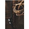Image 2 : Bison Blanket