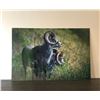Image 1 : Stone Sheep Metal Print
