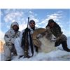 Image 1 : 10 Day Tian Shan Argali & Mid Asian Ibex Hunt