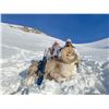 Image 8 : 10 Day Tian Shan Argali & Mid Asian Ibex Hunt