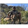 Image 1 : 4 Day Texas Aoudad Hunt