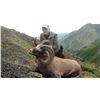 Image 1 : 10 Day Yakuita Snow Sheep Hunt