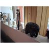 Image 2 : Decor Cat A