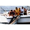Image 2 : Panama:  All Inclusive 4 Night 3 Day Deep Sea Fishing Trip for 4 Anglers & 4 Non-Anglers.