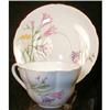Image 1 : SHELLEY Freesia  Cup & Saucer - VINTAGE #1426010