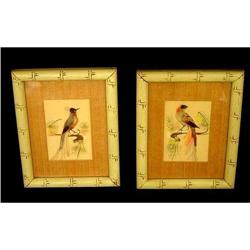 Pair of Antique Bird Paintings With Feathers #1459791