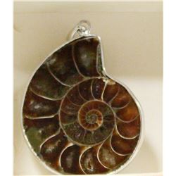 AMMONITE POLISHED FOSSIL PENDANT WITH SILVER
