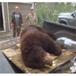 ONTARIO - 5 DAY BLACKalaska BEAR HUNT FOR 1 HUNTER