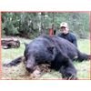 Image 4 : ONTARIO - 5 DAY BLACKalaska BEAR HUNT FOR 1 HUNTER