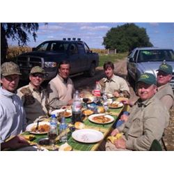 ARGENTINA - FOUR DAY DOVE HUNT FOR 2 TO 6 HUNTERS