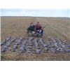Image 3 : ARGENTINA - FOUR DAY DOVE HUNT FOR 2 TO 6 HUNTERS