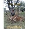 Image 1 : ARGENTINA - FIVE DAY BIG GAME HUNT FOR 1 TO 8 HUNTERS