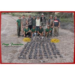 ARGENTINA - FOUR DAY DOVE HUNT FOR FOUR HUNTERS