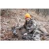Image 4 : OHIO - 3 DAY ESTATE TROPHY WHITETAIL HUNT FOR 2 HUNTERS