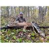 Image 4 : MISSOURI - SIX DAY DEER AND TURKEY HUNT FOR 2 HUNTERS