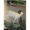 Image 1 : $500 GIFT CERTIFICATE FOR TAXIDERMY WORK
