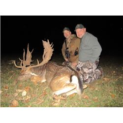SERBIA – FALLOW DEER HUNT WITH RIFLE FOR 2 HUNTERS