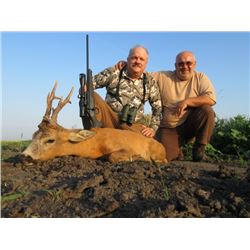 SERBIA – ROE DEER HUNT WITH RIFLE FOR 2 HUNTERS