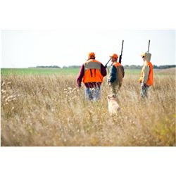 MICHIGAN - PHEASANT HUNT FOR FOUR HUNTERS