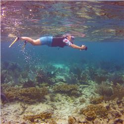 ST. THOMAS - 6 DAYS VACATION STAY IN 4BR VILLA FOR 8 PERSONS