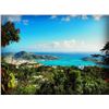 Image 4 : ST. THOMAS - 6 DAYS VACATION STAY IN 4BR VILLA FOR 8 PERSONS