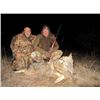 Image 2 : MACEDONIA - WOLF HUNT WITH RIFLE FOR 2 HUNTERS