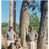 Image 2 : MOZAMBIQUE - 10 DAY NILE CROCODILE HUNT FOR 1 HUNTER