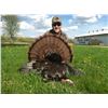 Image 1 : SE MICHIGAN - THREE DAY GUIDED TURKEY HUNT FOR ONE HUNTER