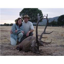 SPAIN - RED STAG, FALLOW DEER OR MOUFLON SHEEP HUNT FOR 1 HUNTER