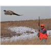 Image 1 : SOUTH DAKOTA - 2 DAYS/2 NIGHTS PHEASANT HUNT FOR TWO HUNTERS