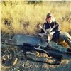 Image 3 : ARIZONA - 5 DAY COUES DEER HUNT FOR 1 HUNTER
