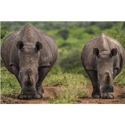 SOUTH AFRICA - SIX DAY GUIDED PHOTOGRAPHIC SAFARI FOR 2 PEOPLE