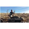 Image 3 : ARIZONA - 5 DAY MULE DEER HUNT FOR 1 HUNTER