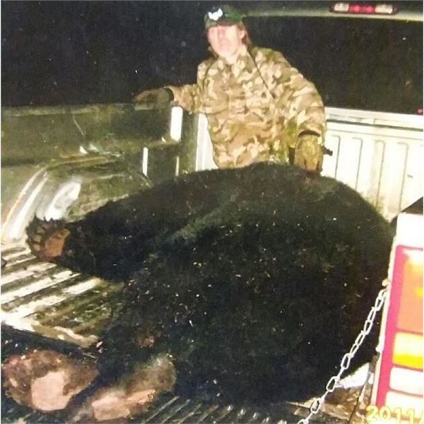 MINNESOTA - 7 DAY HUNT FOR GIANT BLACK BEAR FOR 1 HUNTER