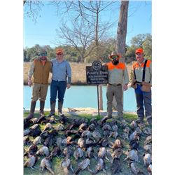 Upland Bird Hunt for 2 couples - Joshua Creek Ranch