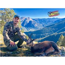 Pyrenean Chamois Hunt for 1 couple - Wild Hunting Spain