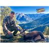 Image 1 : Pyrenean Chamois Hunt for 1 couple - Wild Hunting Spain