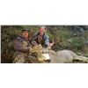 Image 2 : Aoudad and Mule Deer Combo - Boy Scouts Buffalo Trail Council