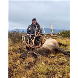 Colorado Trophy Elk hunt - North Rim Trophy Hunts