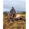 Image 1 : Colorado Trophy Elk hunt - North Rim Trophy Hunts