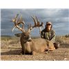 Image 1 : Trophy Whitetail Hunt for 2 hunters - KickBACK Ranch