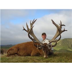 New Zealand Stag Hunt - Alpine Hunting NZ