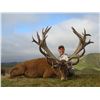 Image 1 : New Zealand Stag Hunt - Alpine Hunting NZ