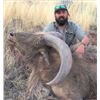 Image 1 : West Texas Aoudad Hunt - Brosig's Custom Taxidermy