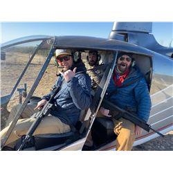 Helicopter Predator Hunt - Concho Aviation