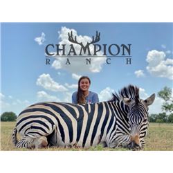 3-Day Texas Exotic Hunt - Champion Ranch