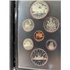 Image 2 : 1981 Royal Canadian Mint Year Set With Silver Dollar In Original Case