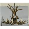 Image 1 : ANTLER CHANDELIER 32" diameter, CONDITION: su